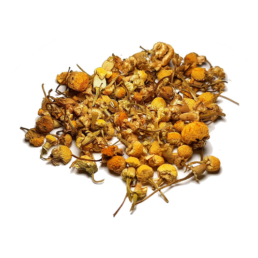 Chamomile, Himalayan Wild
