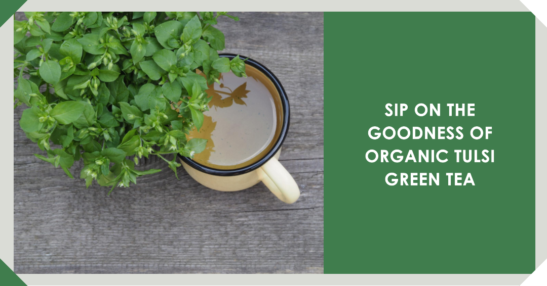 The Incredible Benefits of Tulsi Green Tea | Teabetea 