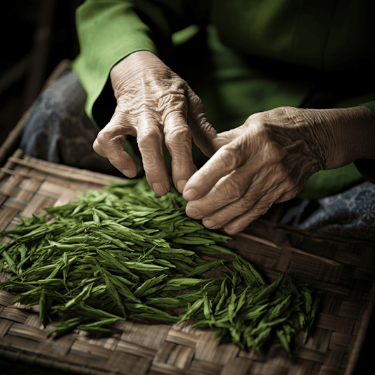 old lady sorting green tea