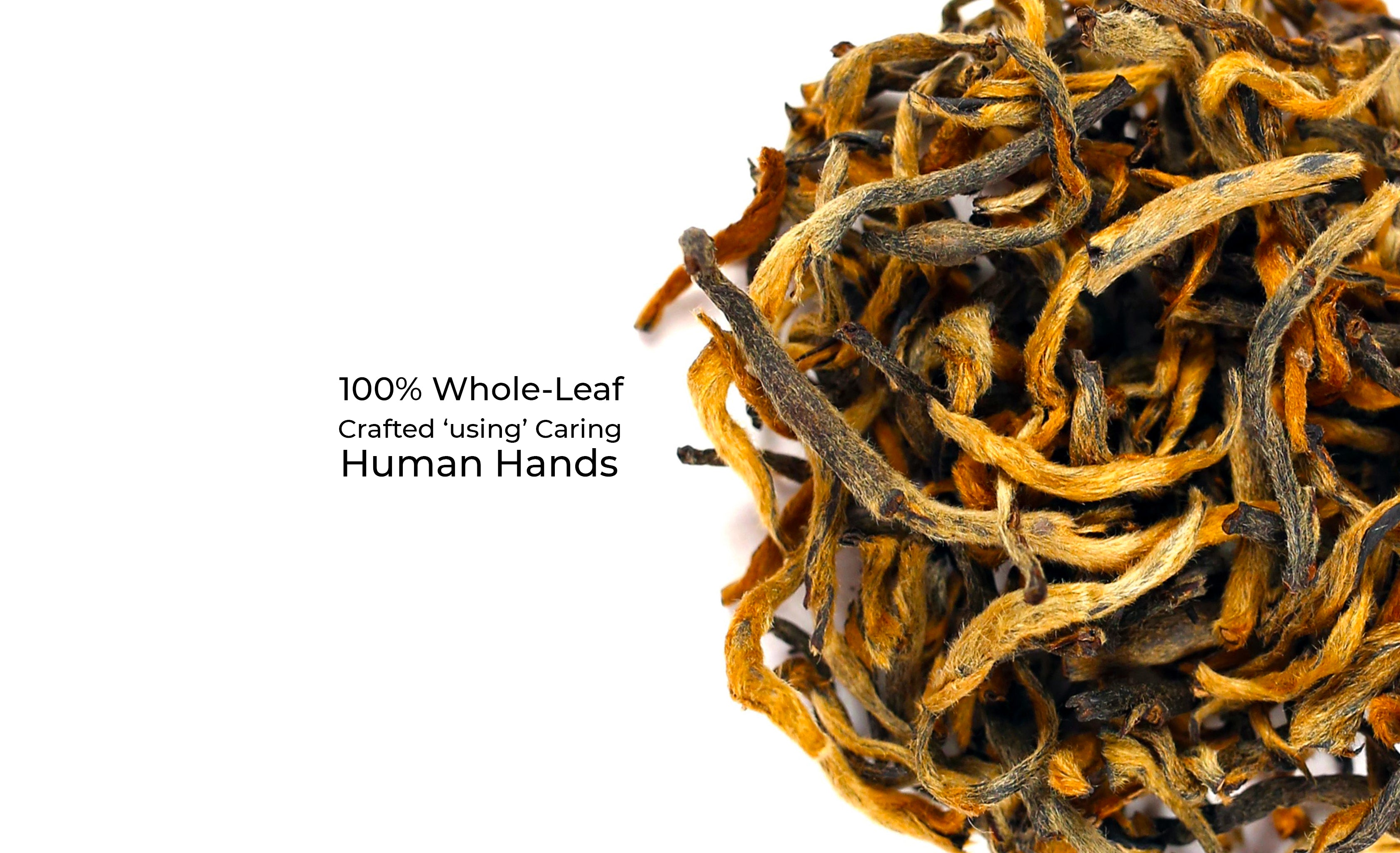 loose leaf, organic loose-leaf green tea, fresh green tea teabetea, best loose-leaf tea in india