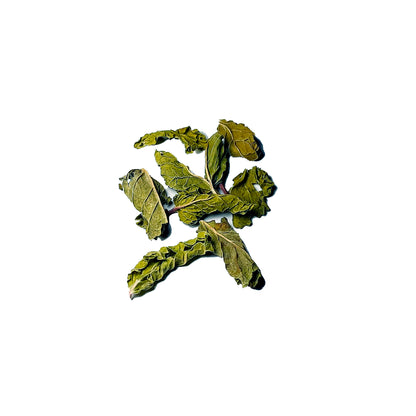 Dried herbs for Himalayan spearmint tea featuring vibrant green leaves for a refreshing brew